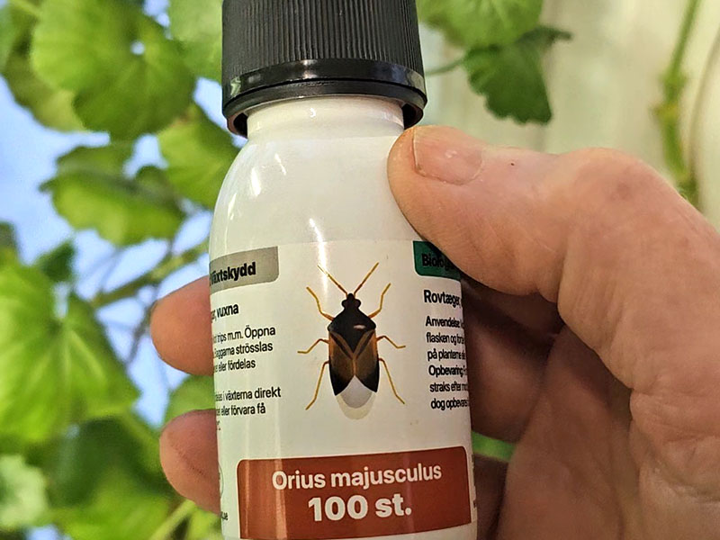 Kan man använda nyttodjur inomhus hemma?