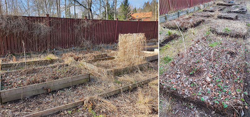 före-efter odlingsbäddar borta