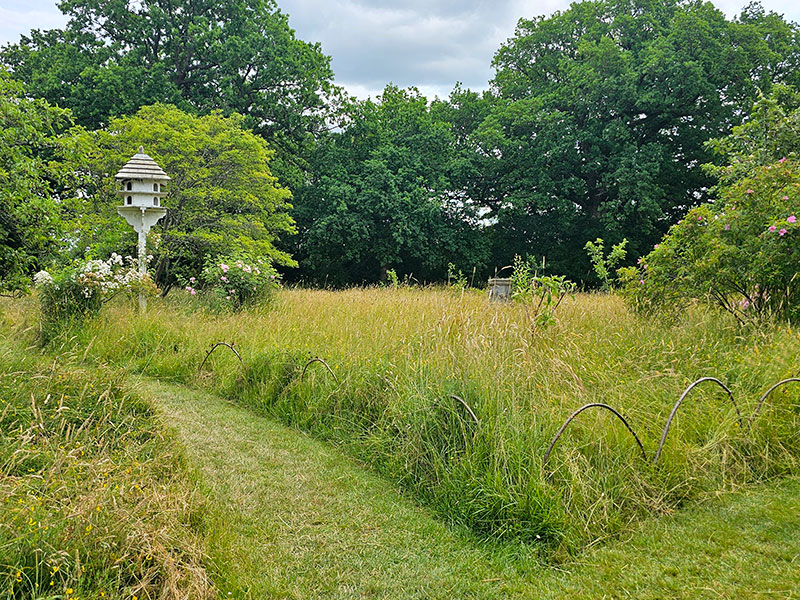 Väggren i äng i Sissinghurst Castle Garden - LS