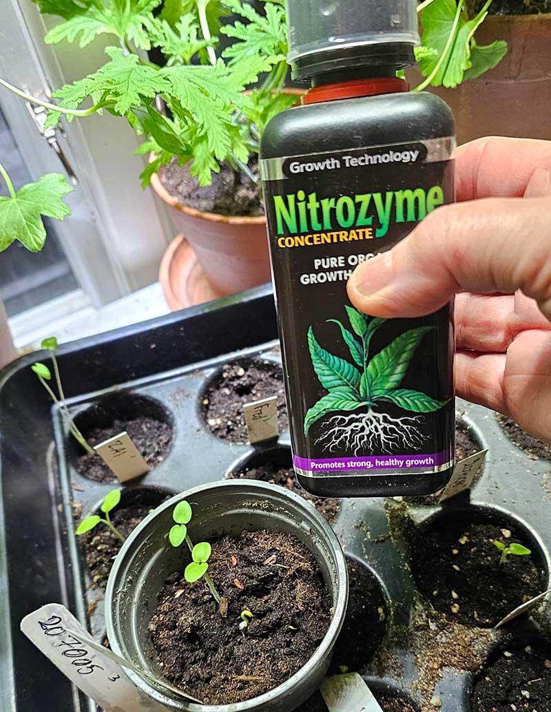 Nitrozyme för frösådd Nitrozyme för frösådd