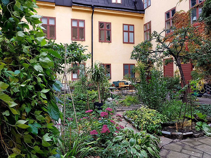 Blommande innergård i Stockholm