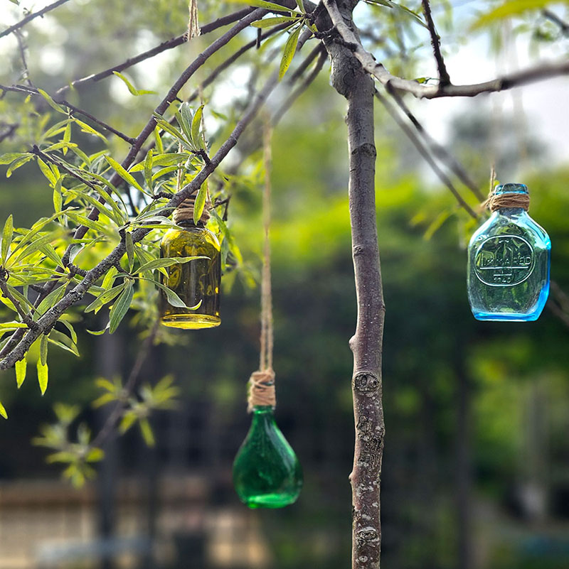 Färgade glasflaskor som mobiler i träd