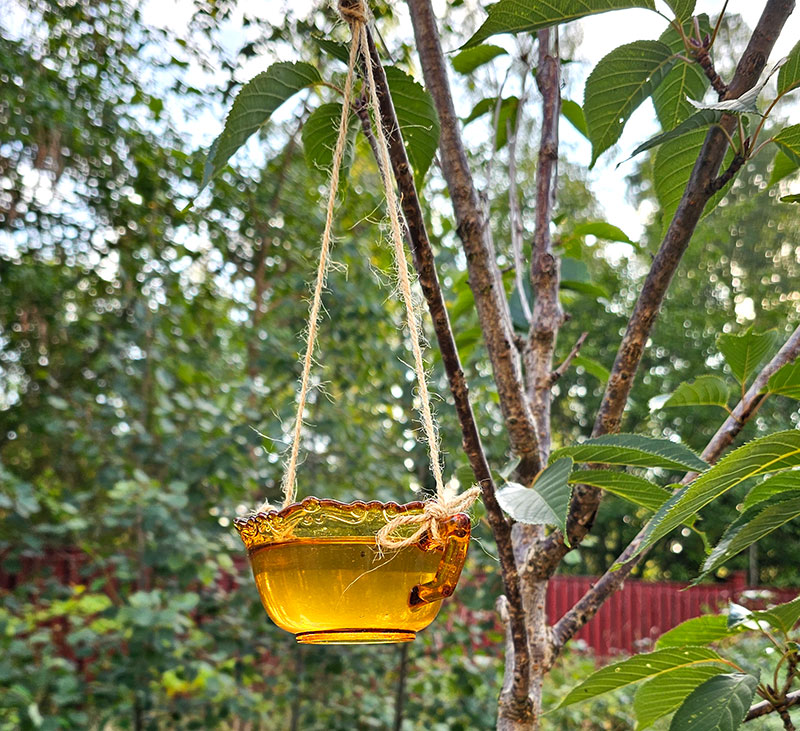 Vattenskål för småfåglar