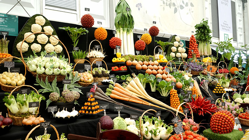 Grönsaker i utställning på Chelsea Flowershow