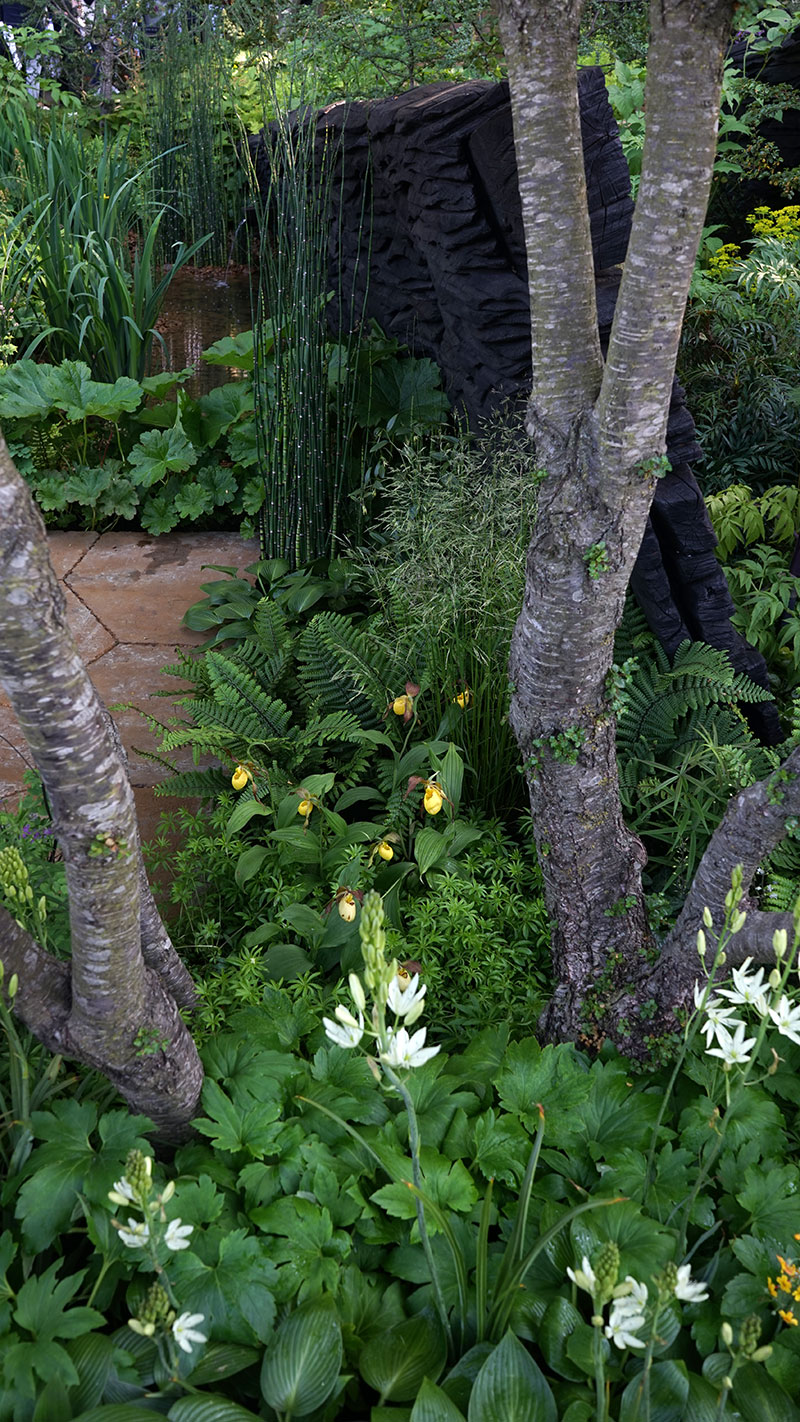 En av trädgårdarna i utställningen på Chelsea FLowershow