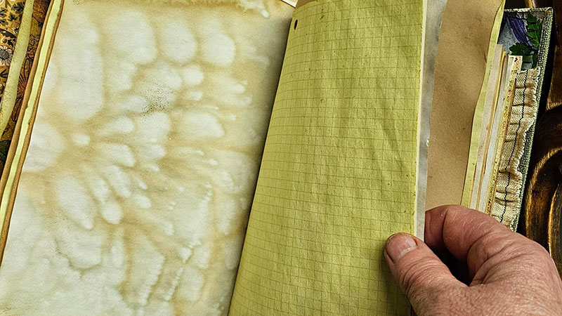 växtfärgade sidor i en junk journal