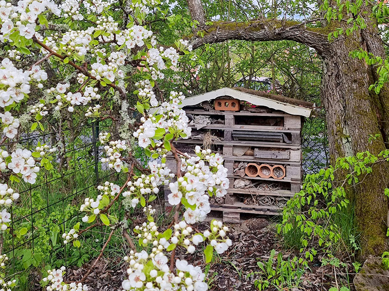 Gömsle för nyttodjur insekter i trädgård - LS