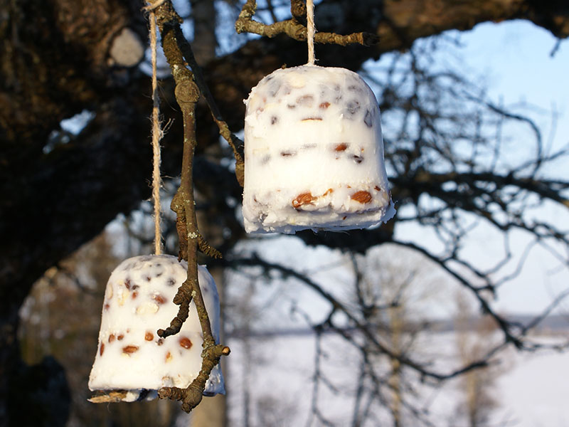 Fågelmat av kokos, nötter och bär