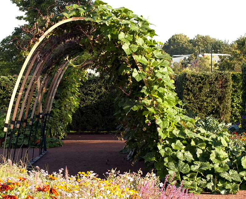 KLättervalv till ettåriga köksväxter och blommor