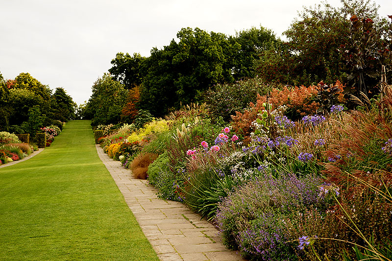 Perennrabatter på RHS Wisley garden