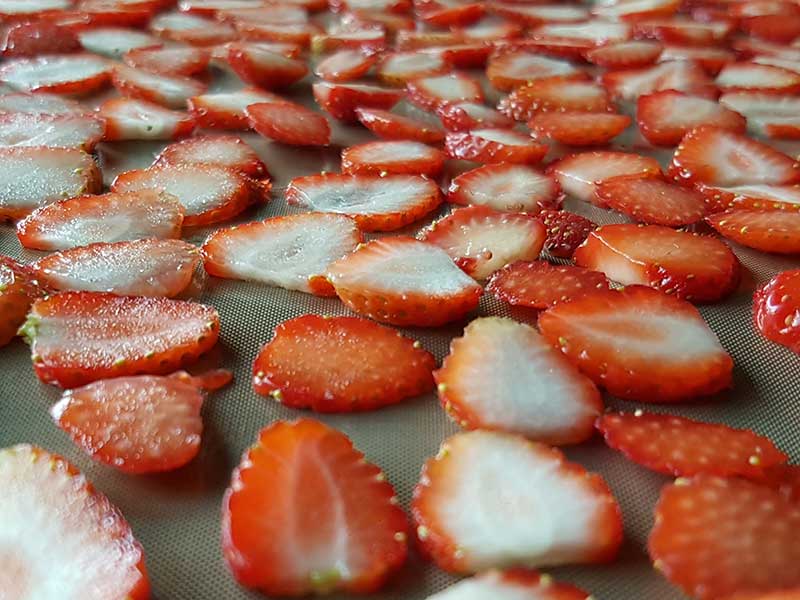 Skivade jordgubbar till torkning