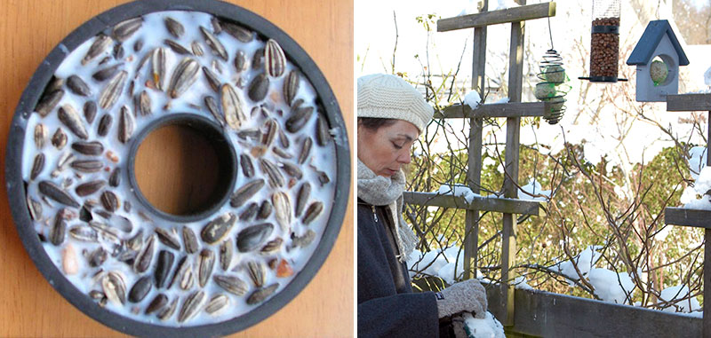 Hemmagjord fågelmat och utfodring av fåglar