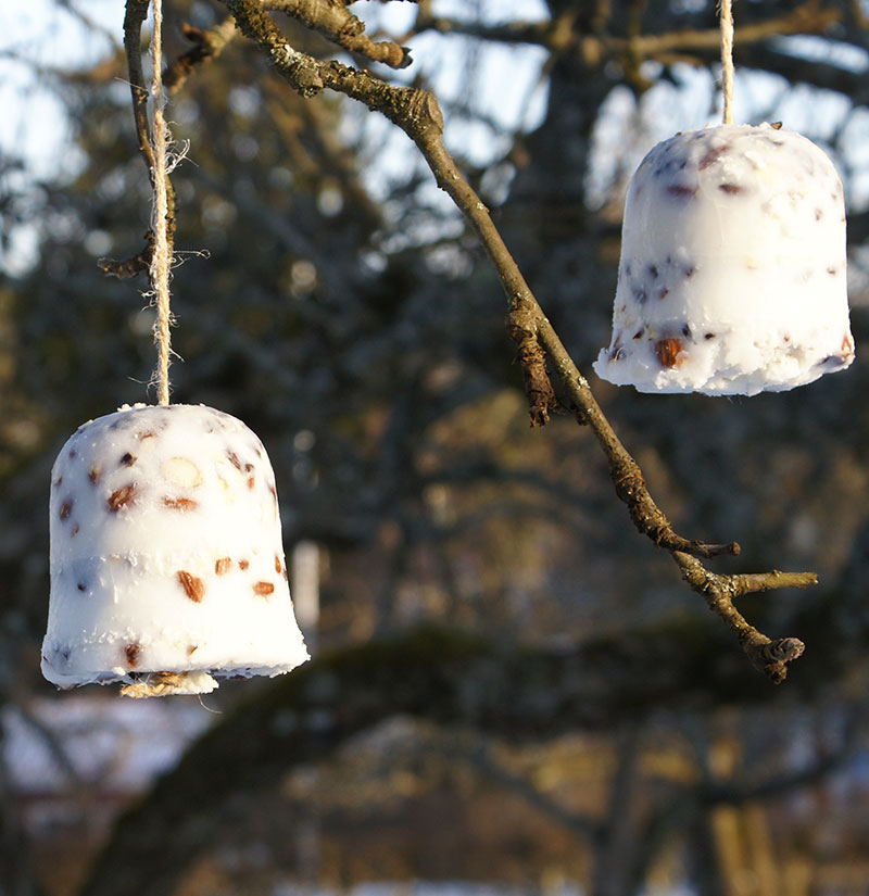 Egengjort fågelmat av nötter, bär och kokos