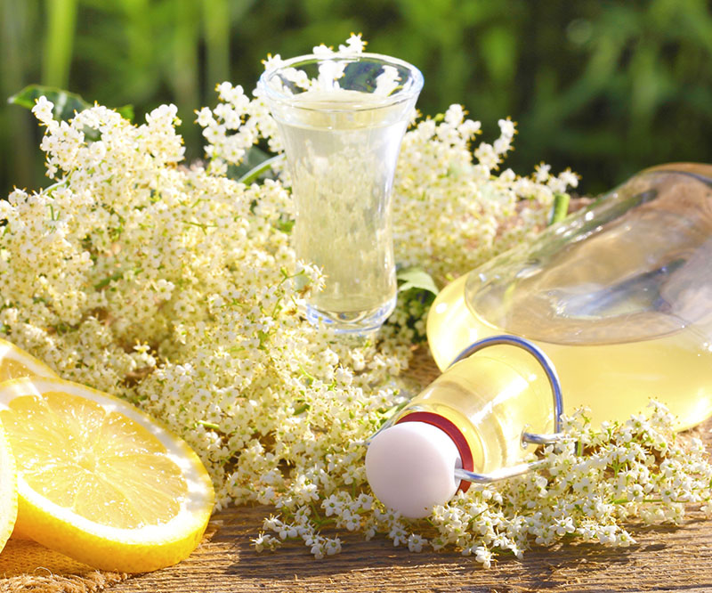 fläderblomschampagne