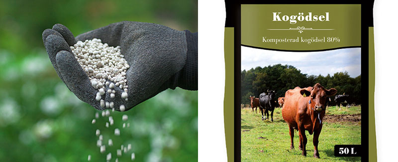 Naturgödsel som hönsgödsel och kogödsel
