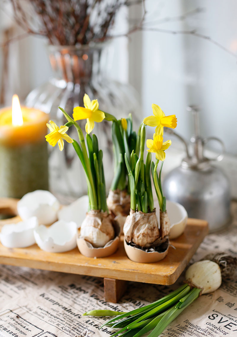 Påskarrangemang med påsklilja och ägg
