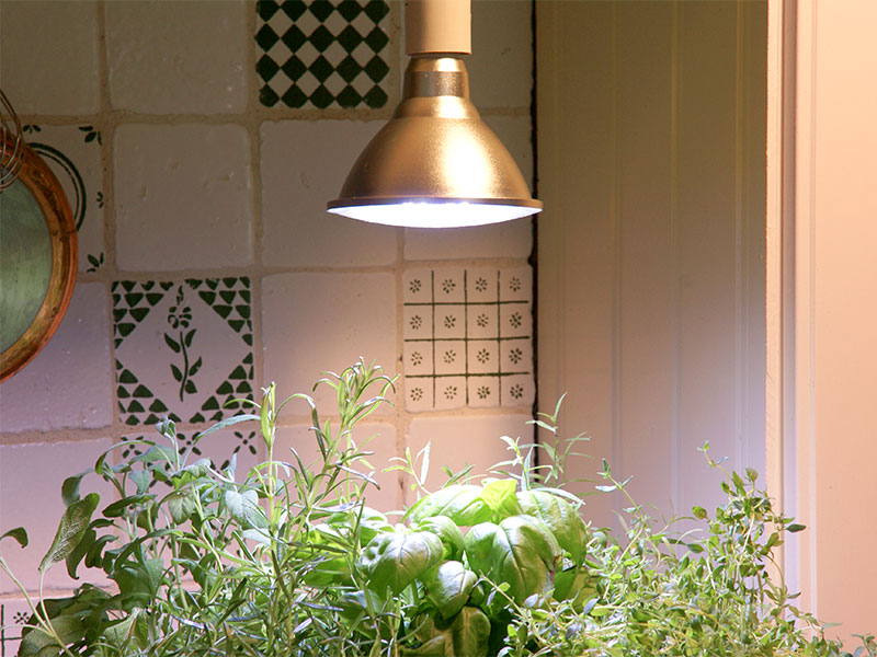 Belysning av krukväxter i köket - LL