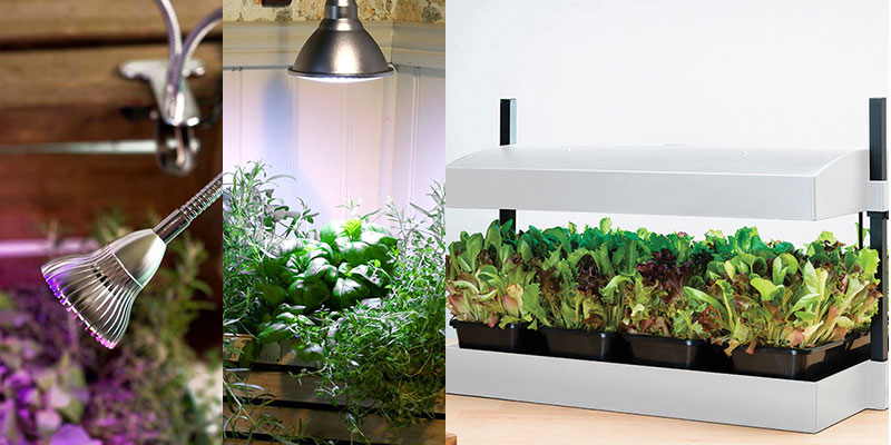 Växtlampor för vinter inomhus Gemini, Primula och odlingsstation