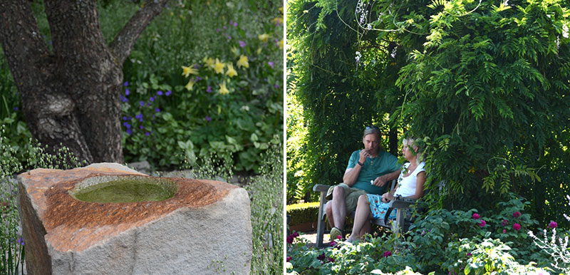 Fågelbad i trädgården och sittplats under klätterväxt blåregn Fågelbad i trädgården och sittplats under klätterväxt blåregn