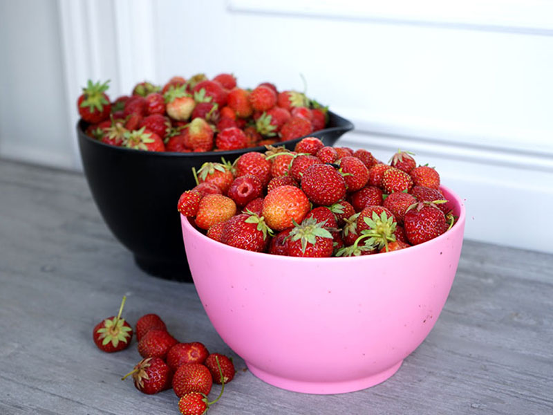 skålar överfulla med jordgubbar