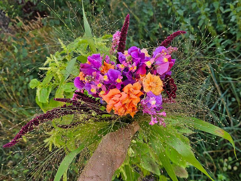 Trädgårdstrendet 2026