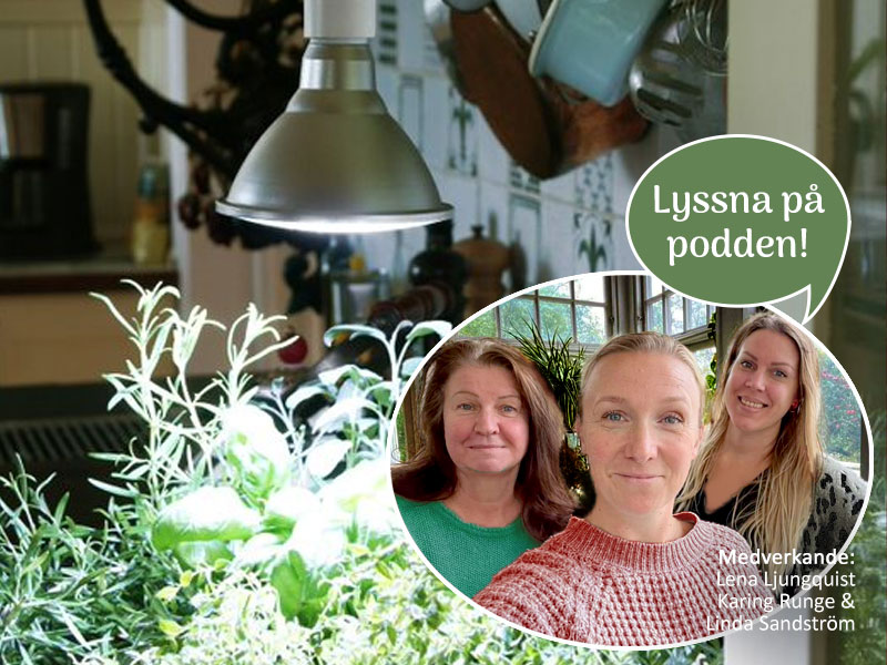 Lyssna pa podd om växtbelysning