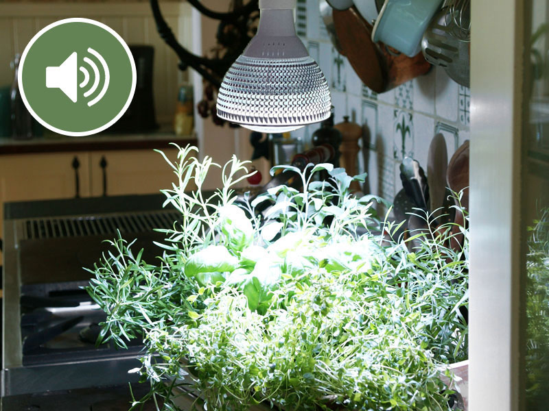 Podd: växtbelysning