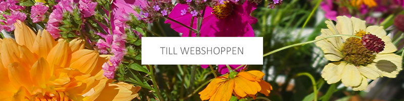 Till webshoppen