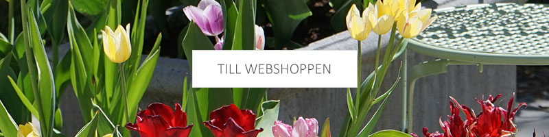 Till webshoppen
