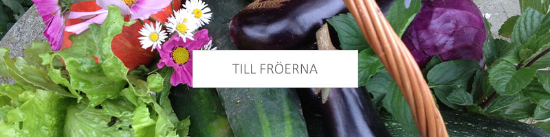 till fröerna