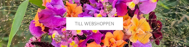 Till webshoppen
