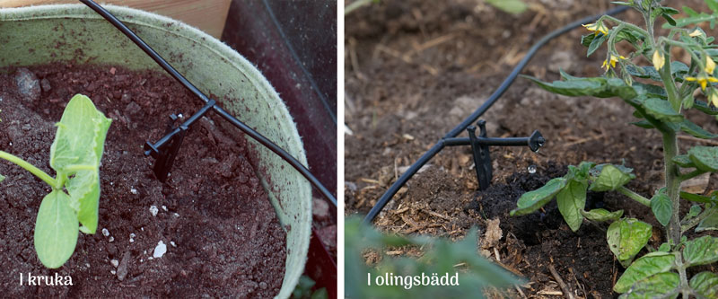 Droppbevattning i kruka och odlingsbädd