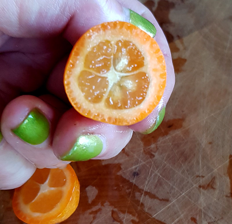 Kumquat i genomskärning med fröer