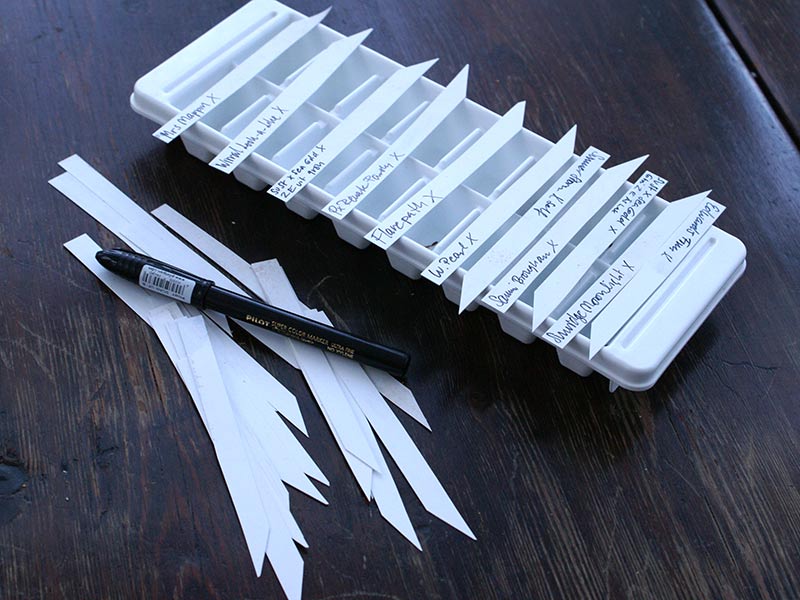 Blötläggning av fröer i islåda