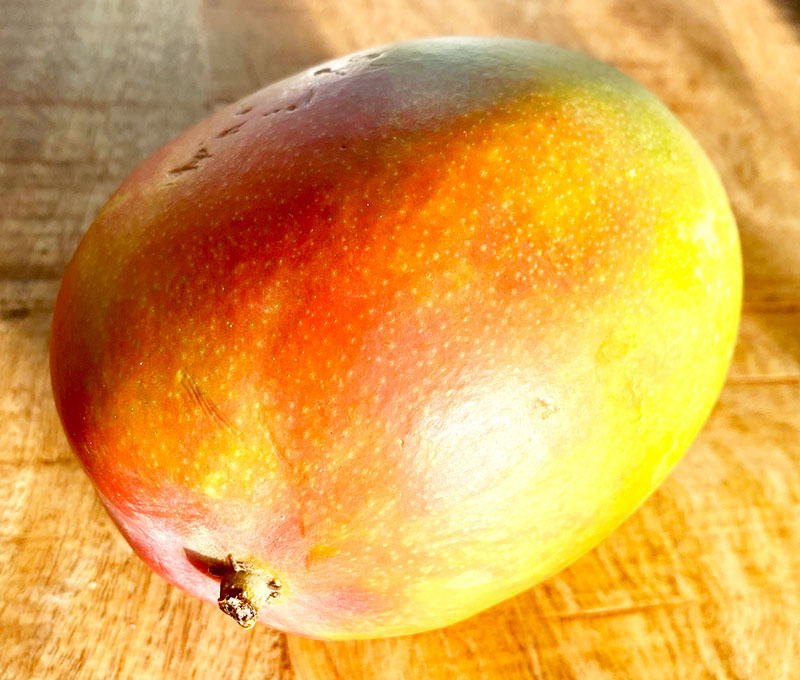 Mogen mangofrukt