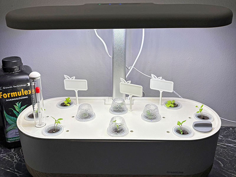 Fröplantor i odlingsstation Urban Growing - JM