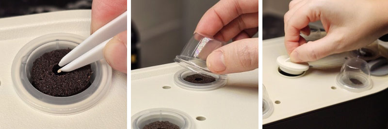 Plantering av frön i Urban Growing odlingsstation - LS