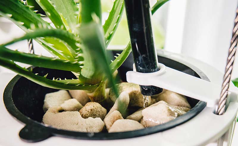 droppbevattning i Nutritower odlingstorn hos Wexthuset