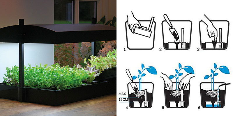 Hydrokultur med självvattnande system Hydrokultur med självvattnande system
