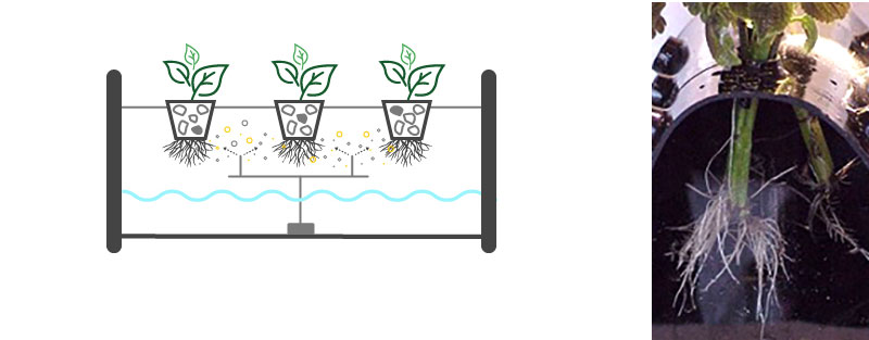 Hydrokultur med aeroponicsystem