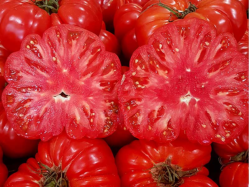 Tomatfrö i skuren tomat