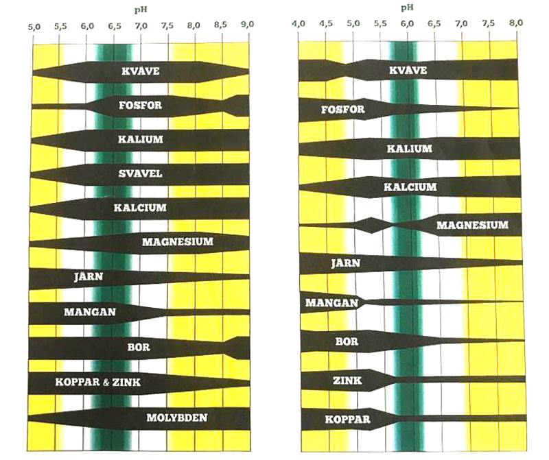 pH värde och näringsämnen för växter