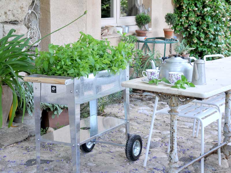 Odlingsvagn för odling inomhus och utomhus