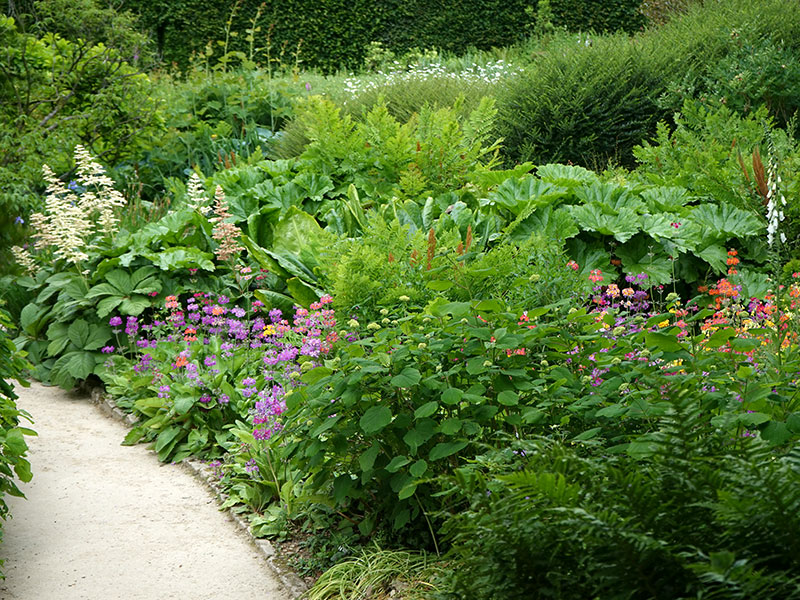 Stor perennrabatt i vandrande skugga