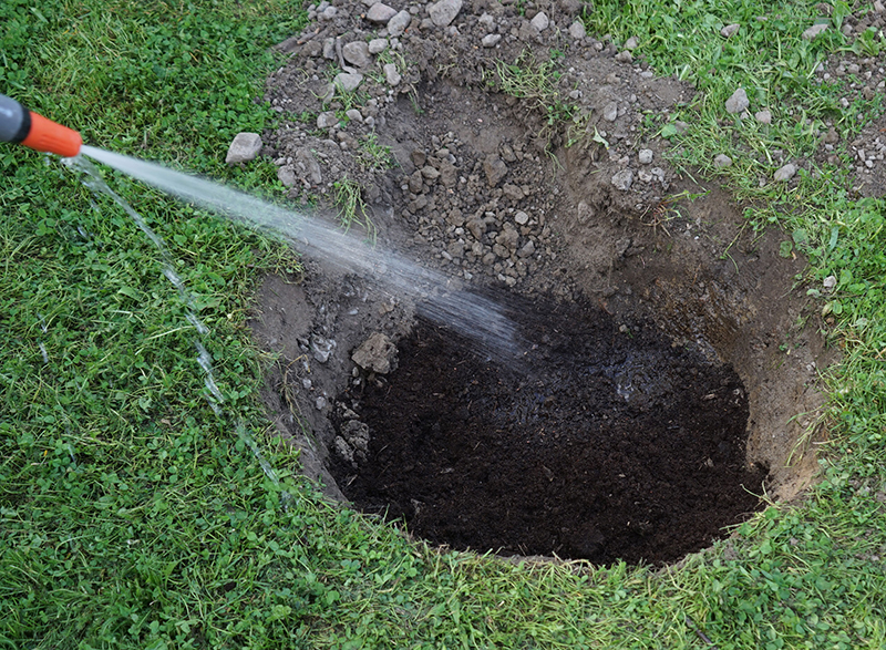 vattning vid plantering i trädgård