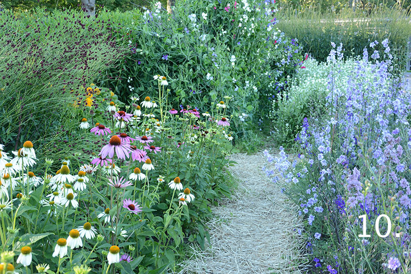 Täckodling i grönsaksodling med blommor