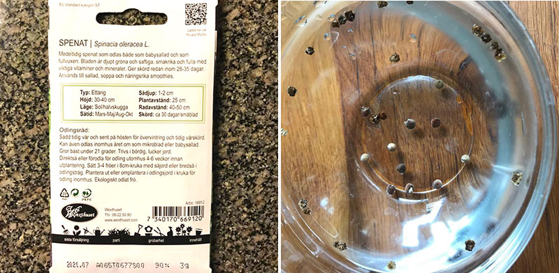Fröpåse spenat och stöpning av luktärtsfrön