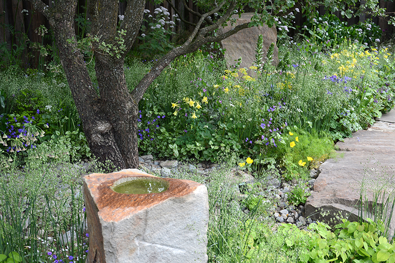 Naturvänlig trädgård med vatten, träd och blommor