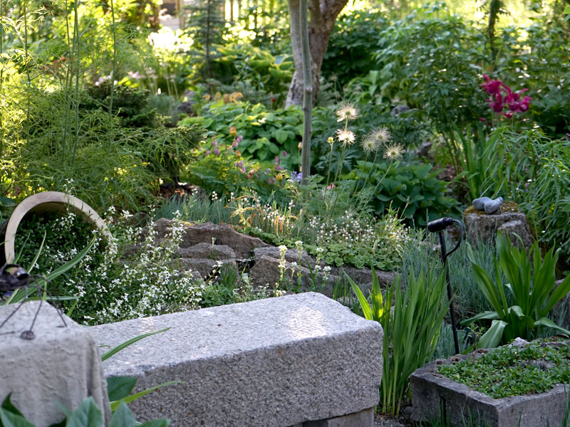 Frodig trädgård med träd och blommor