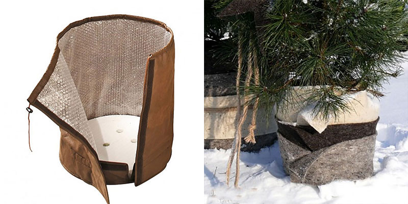Vinterkydd för utekrukor av fårull och bubbelplast